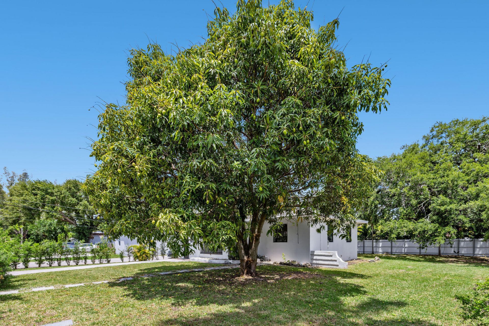 515 NW 88th Street, Unit 1, El Portal, FL 33150 Photo