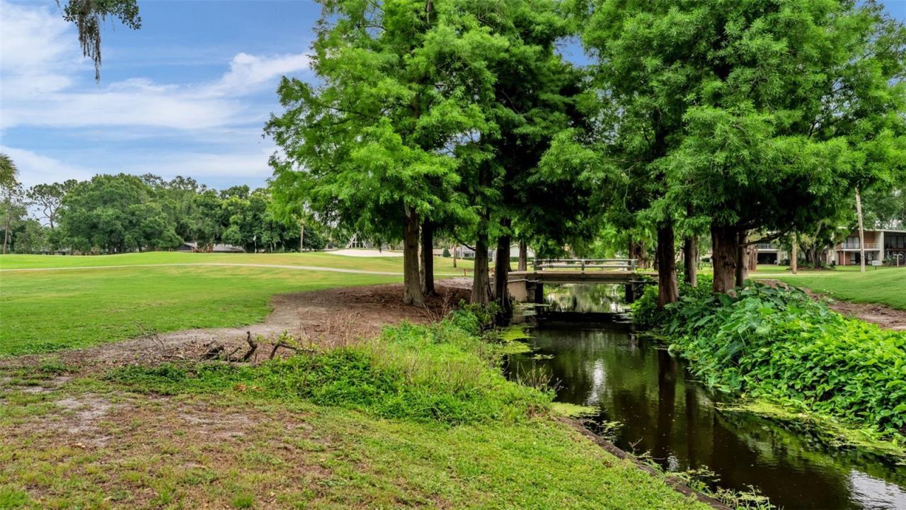 421 Lone Palm Drive, Lakeland, FL 33815 Photo