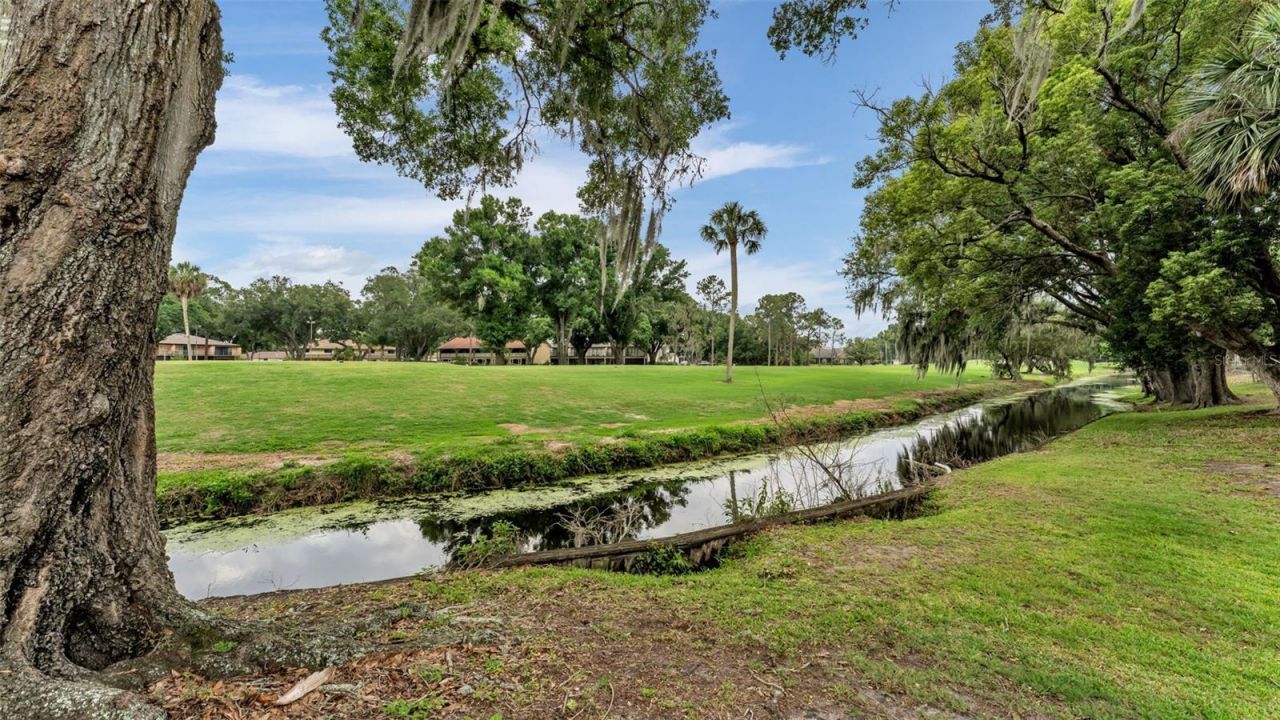 421 Lone Palm Drive, Lakeland, FL 33815 Photo