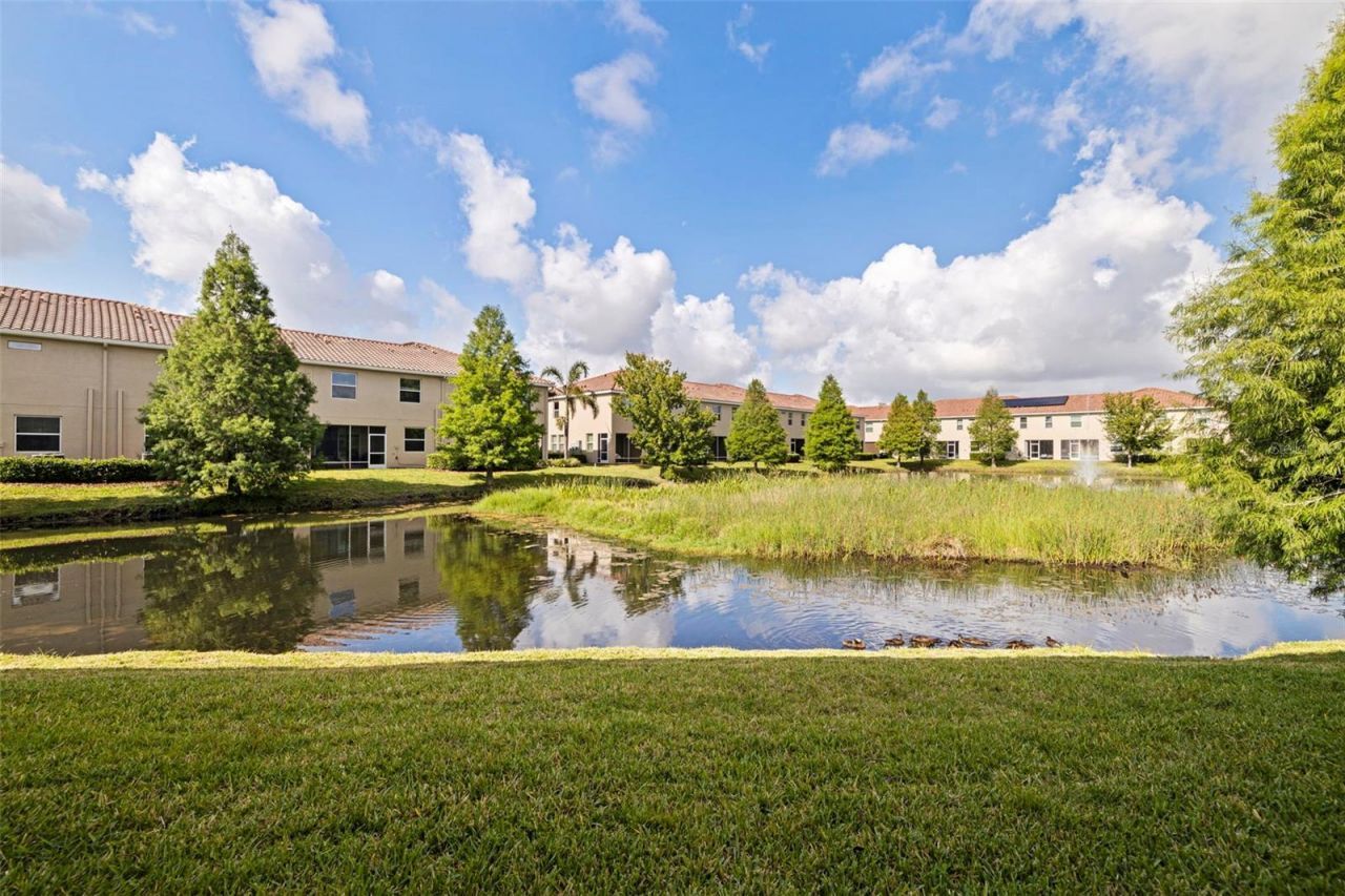 568 53rd Avenue N, Saint Petersburg, FL 33703 Photo