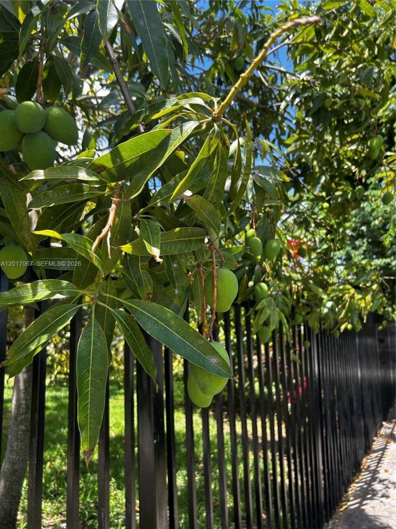 Please Call For Address, Miami, FL 33142 Photo