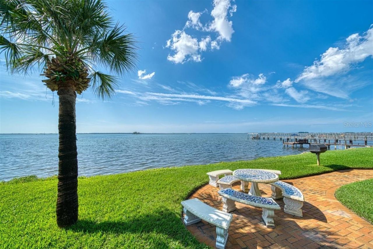 1101 Victoria Drive, Unit 7, Dunedin, FL 34698 Photo