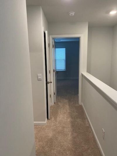 121 Blossom Wood Lane Photo 10