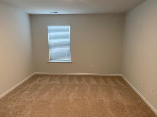 121 Blossom Wood Lane Photo 13