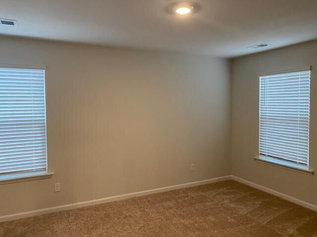 121 Blossom Wood Lane Photo 14