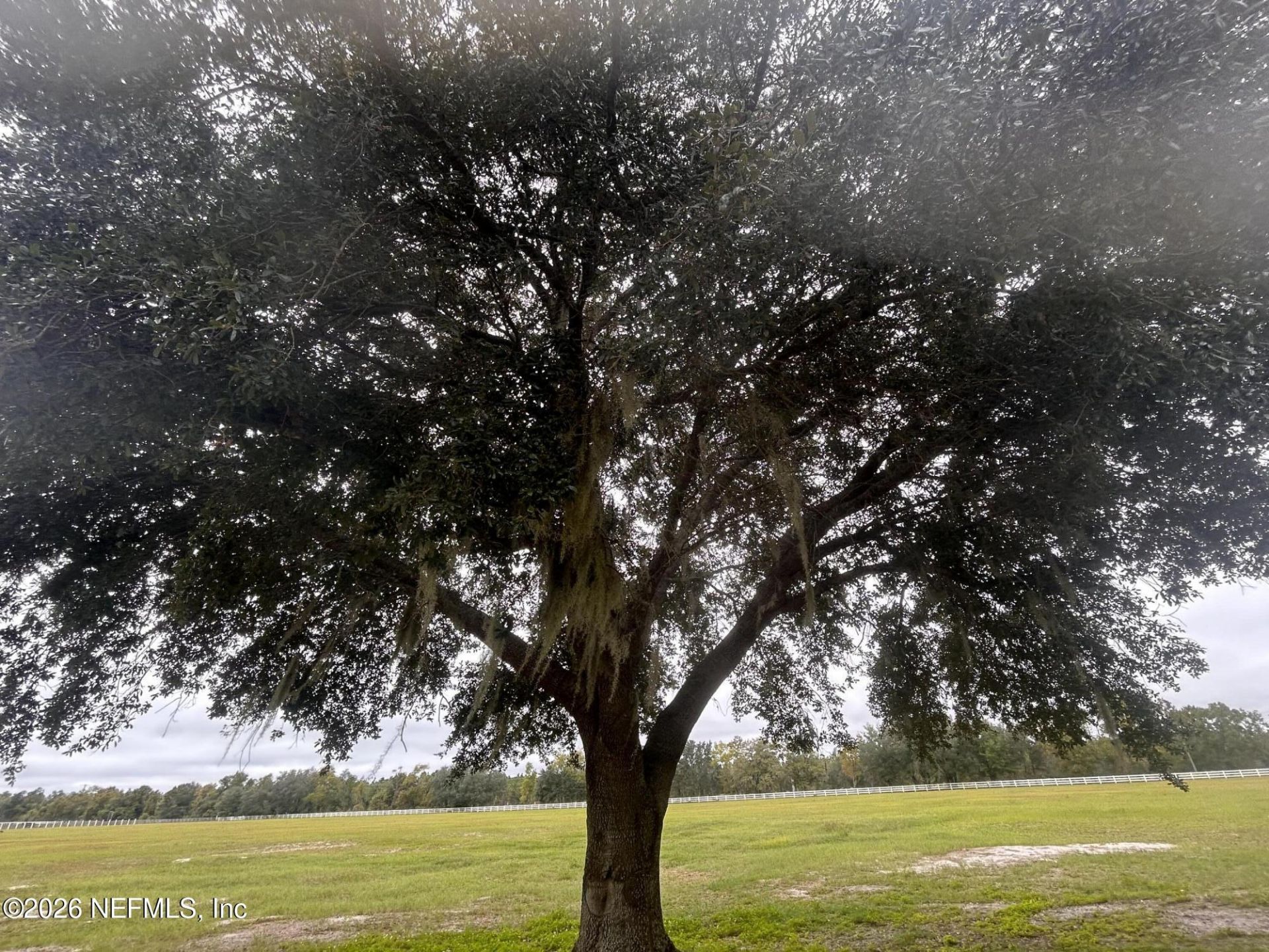 5411 State Road 21, Keystone Heights, FL 32656 Photo