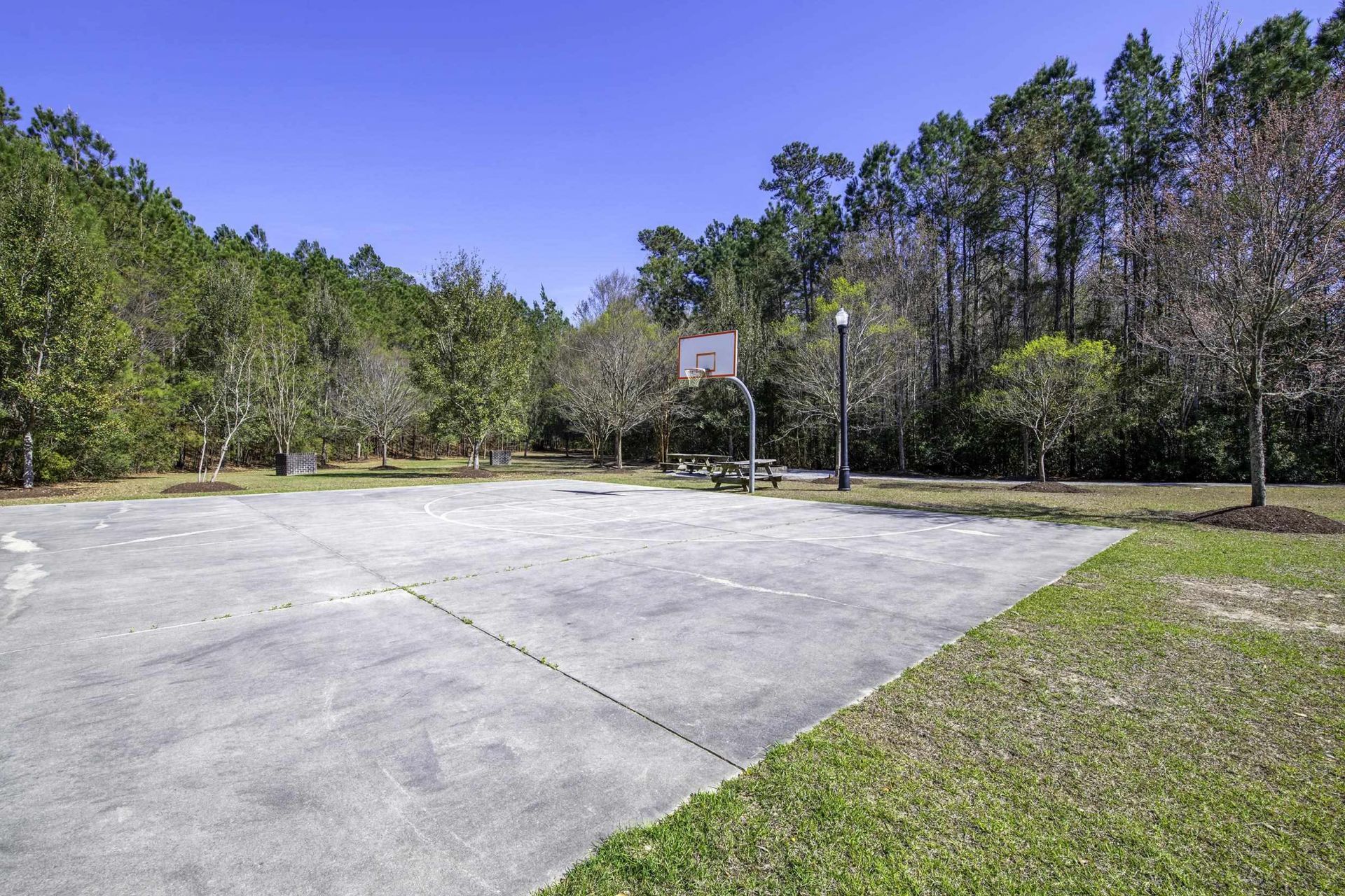 3155 Shorecrest Bay Dr. Photo 64