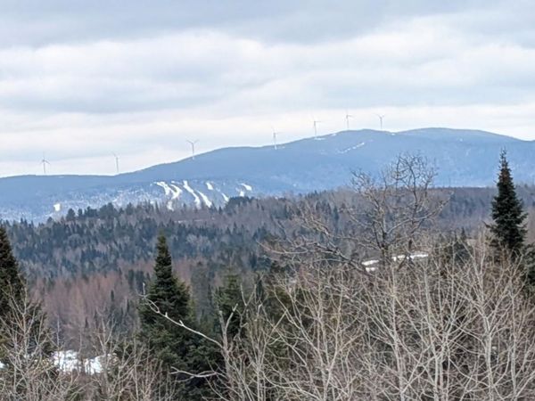 0 Bear Rock Road, Stewartstown, NH 03576