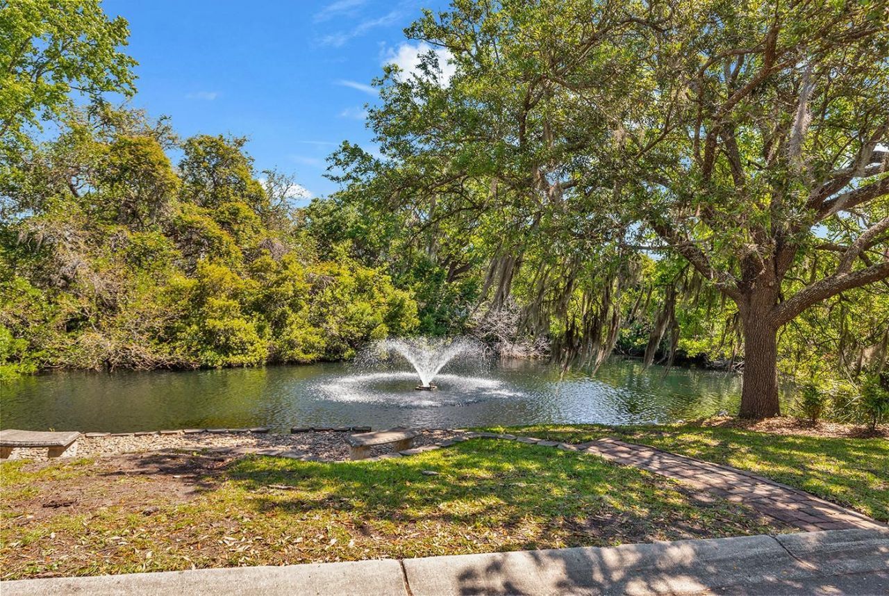 11 Mollusk Ct. Photo 49
