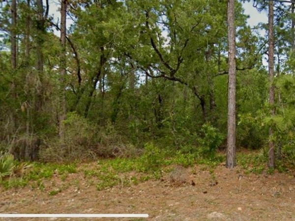 8550 N CITRUS SPRINGS BOULEVARD , CITRUS SPRINGS, FL 34433