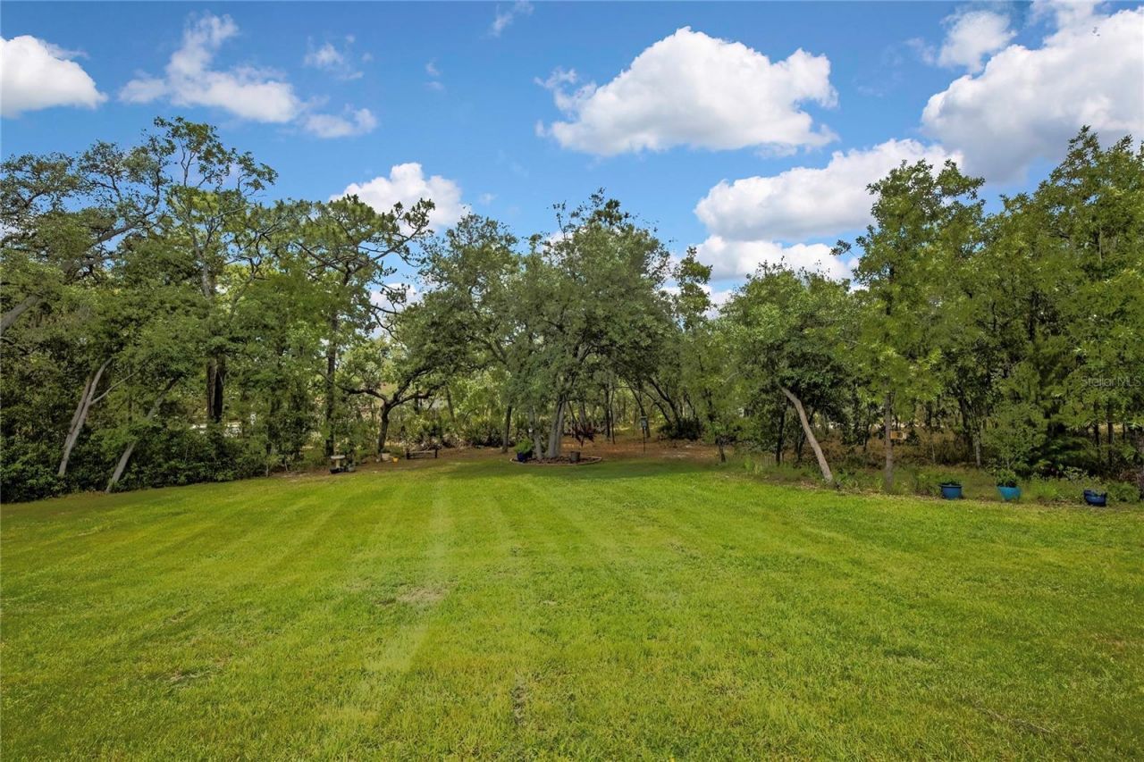 14108 Mulkerin Drive, Weeki Wachee, FL 34614 Photo