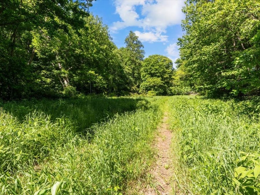 Property Image 69