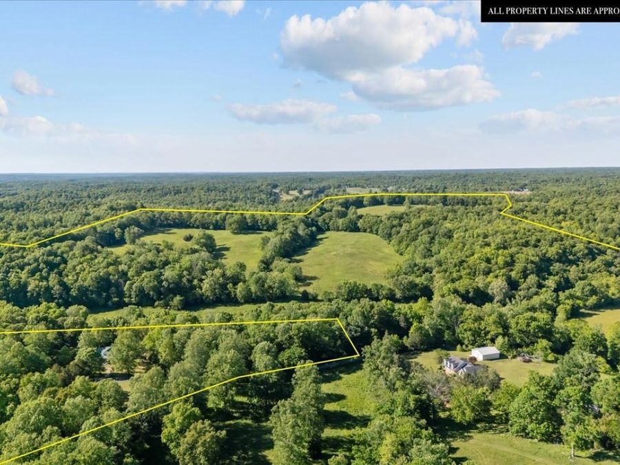 Property Image 74