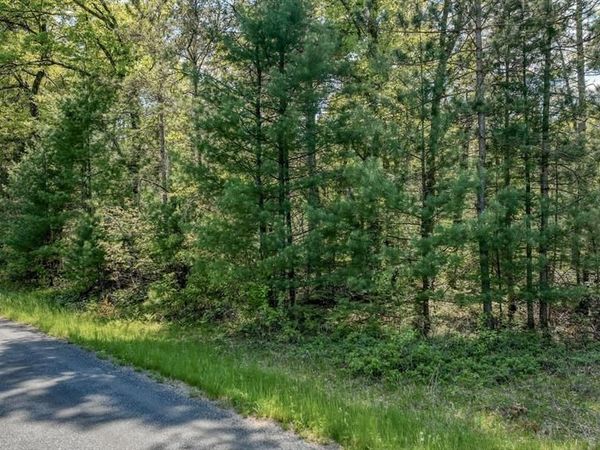 8667 Lakeside Road, Willard, WI 54493