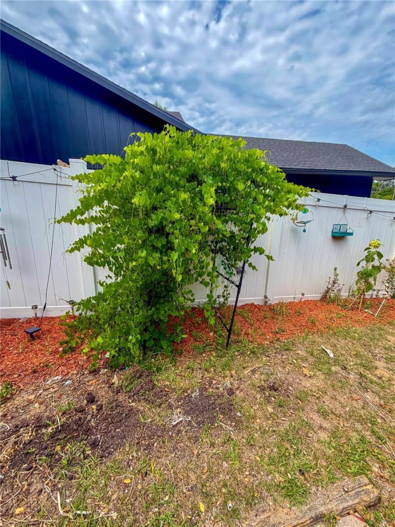 700 W Dampier Street, Inverness, FL 34450 Photo