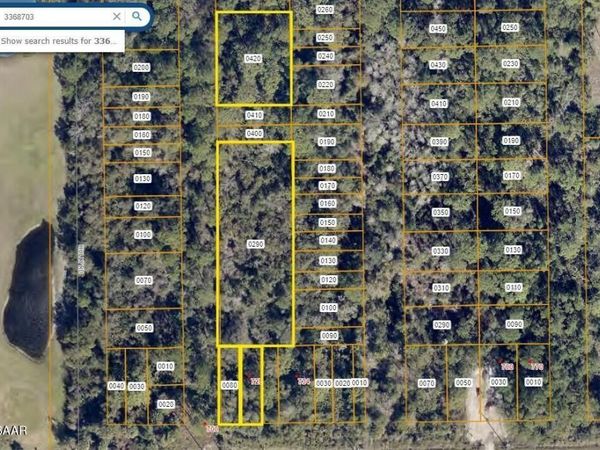 728 OSTEEN MAYTOWN ROAD , OSTEEN, FL 32764