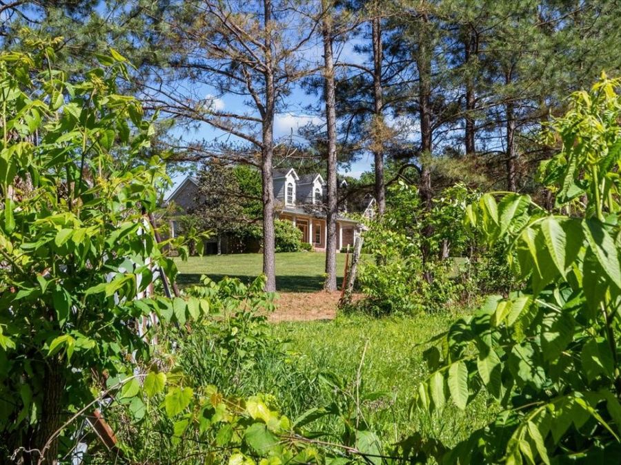 Property Image 46