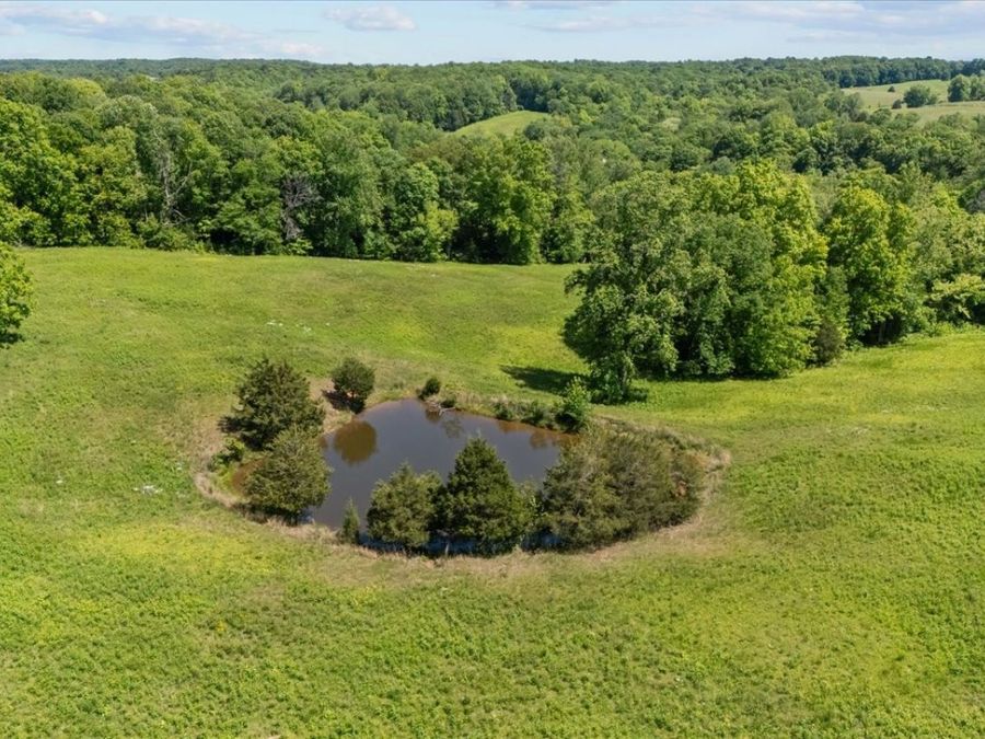 Property Image 81
