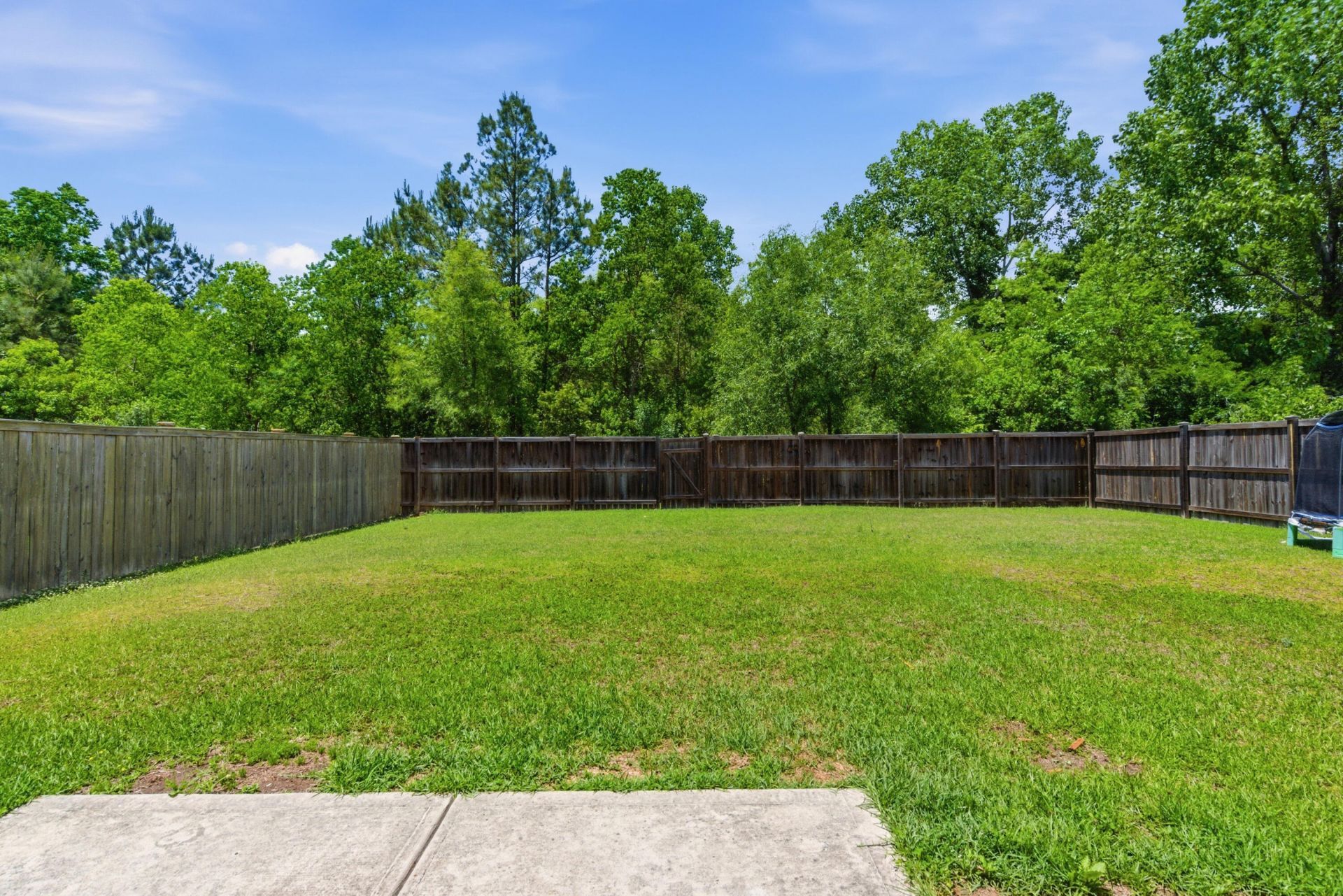 451 Thoroughbred Drive Photo 13