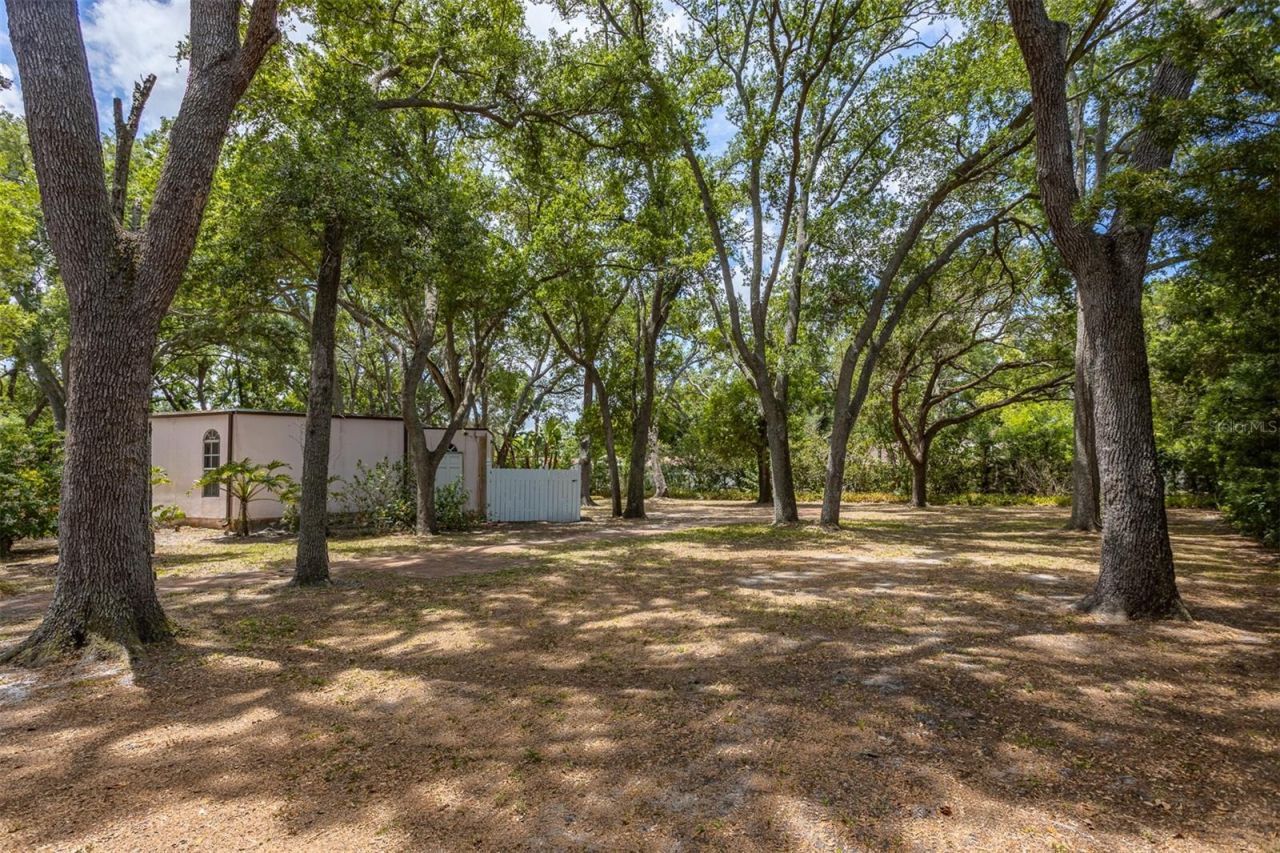 2124 Laurence Drive, Clearwater, FL 33764 Photo