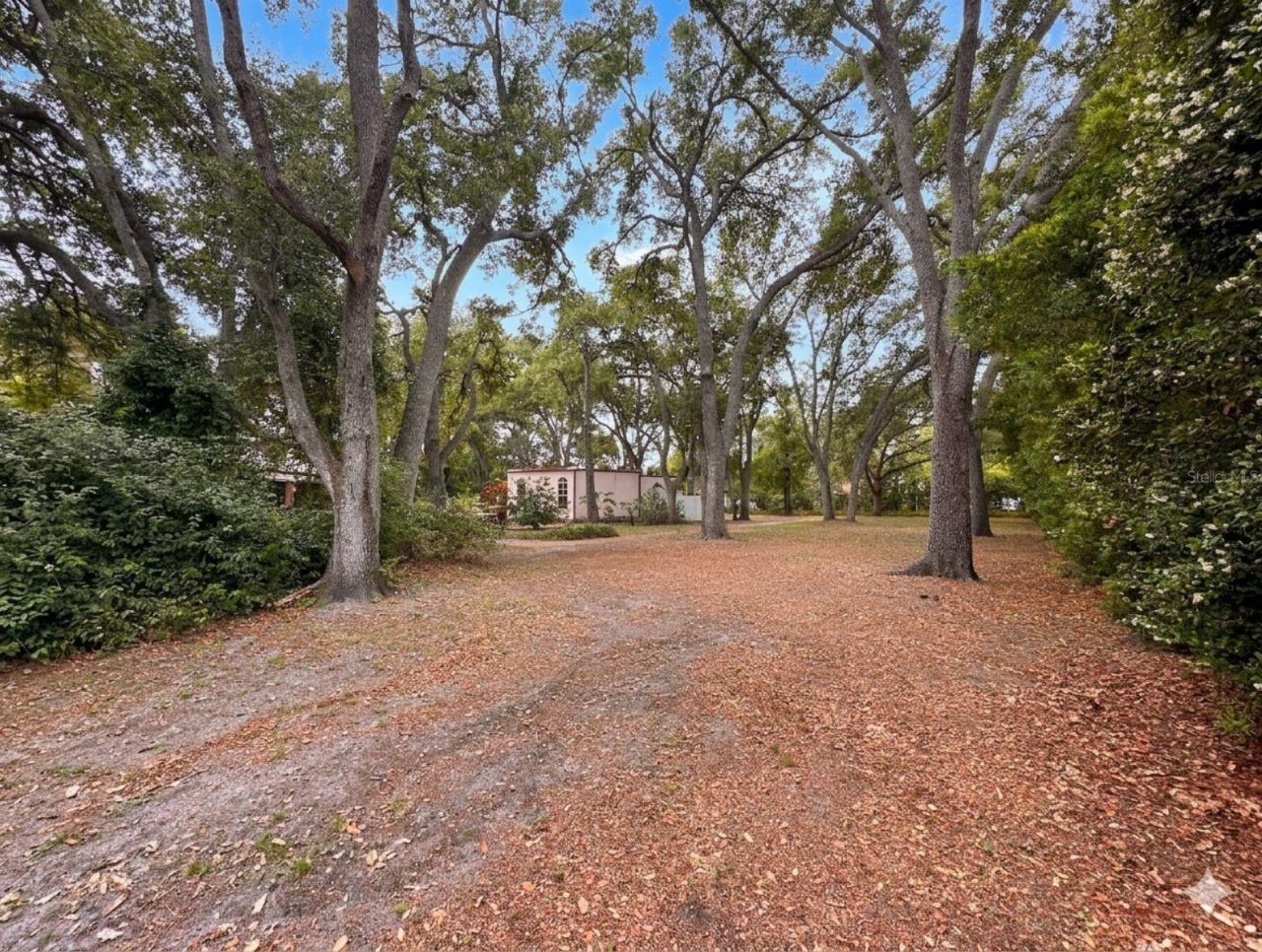 2124 Laurence Drive, Clearwater, FL 33764 Photo