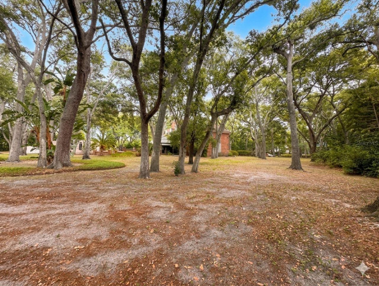 2124 Laurence Drive, Clearwater, FL 33764 Photo