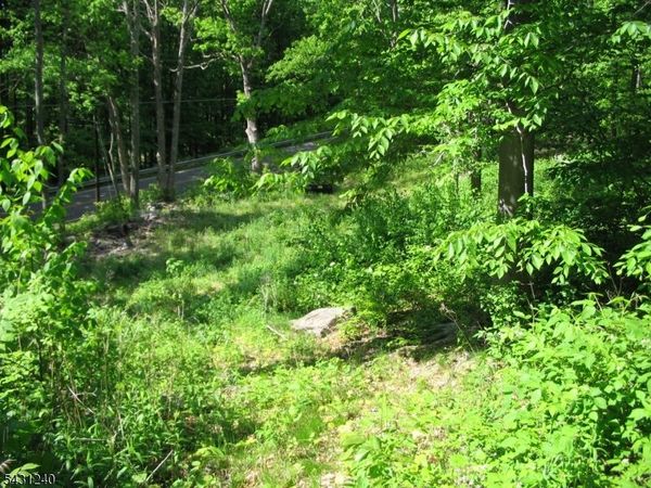 67 Pidgeon Hill, Wantage, NJ 07461