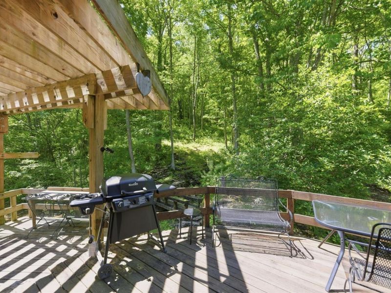 711 Brown Hill Road, Manchester, OH 45144 Photo 44