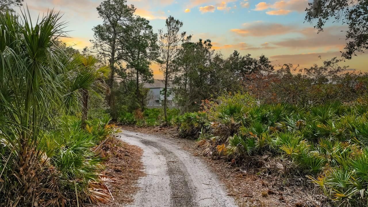 12730 Bullfrog Creek Road, Gibsonton, FL 33534 Photo