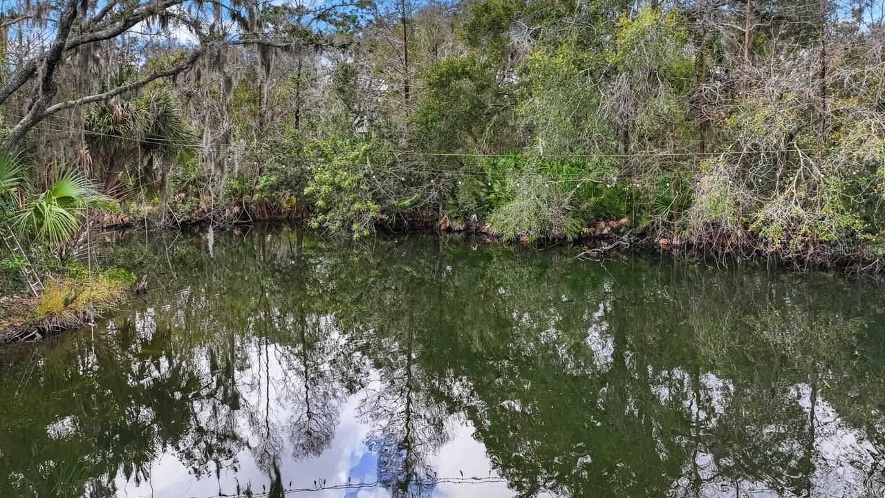 12730 Bullfrog Creek Road, Gibsonton, FL 33534 Photo