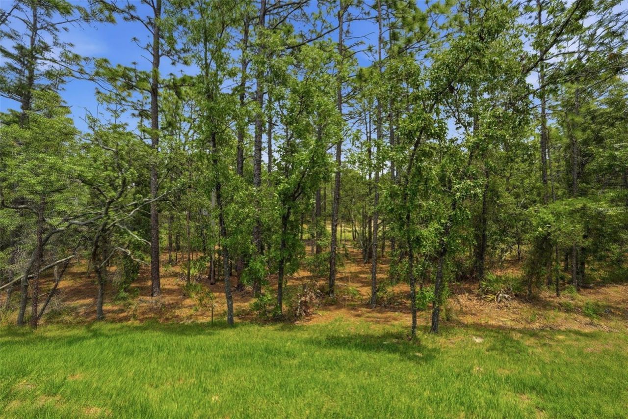 39 Milbark Drive, Homosassa, FL 34446 Photo