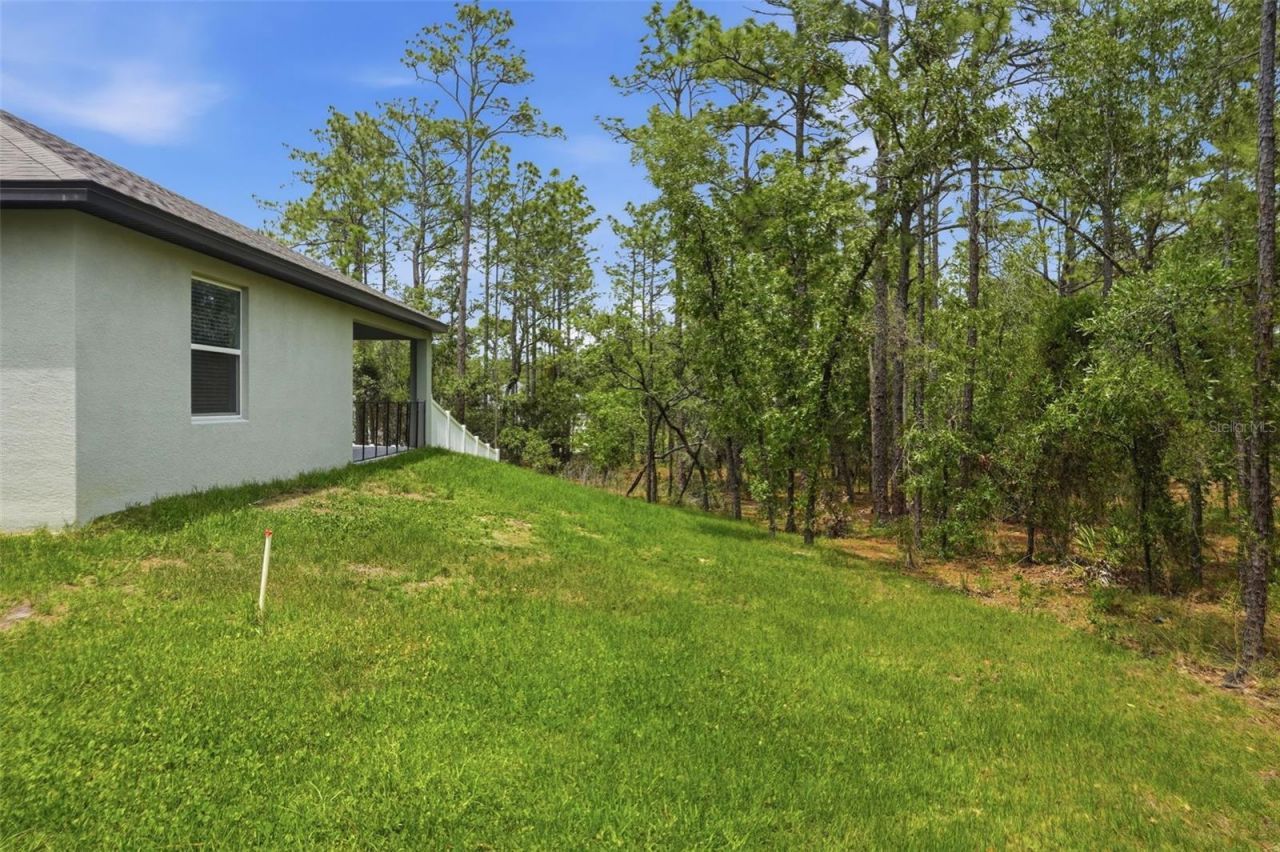 39 Milbark Drive, Homosassa, FL 34446 Photo