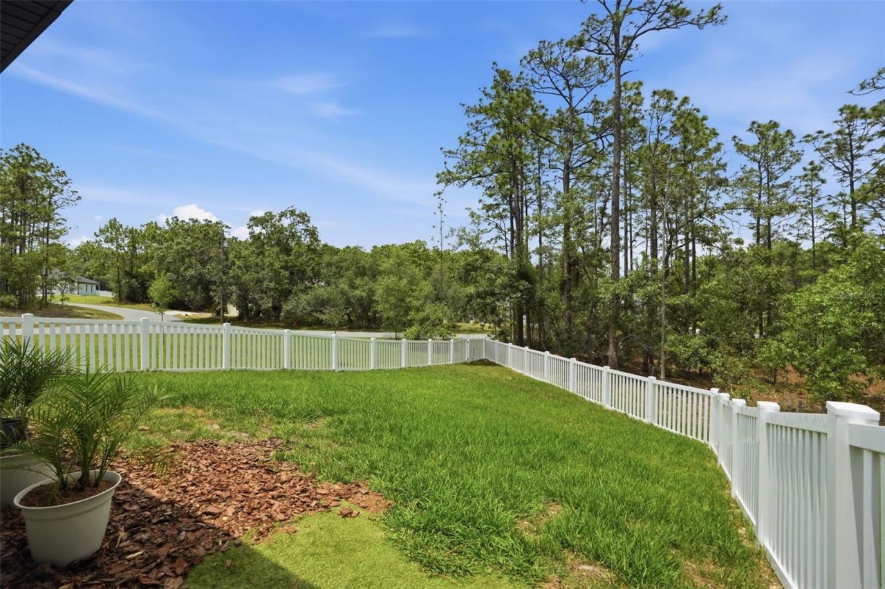 39 Milbark Drive, Homosassa, FL 34446 Photo