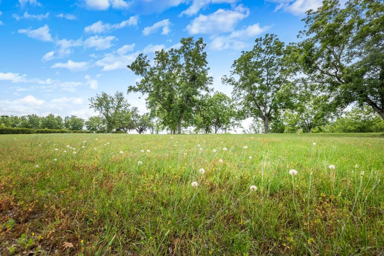 1590 Tyson Road, Monticello, FL 32344 Photo