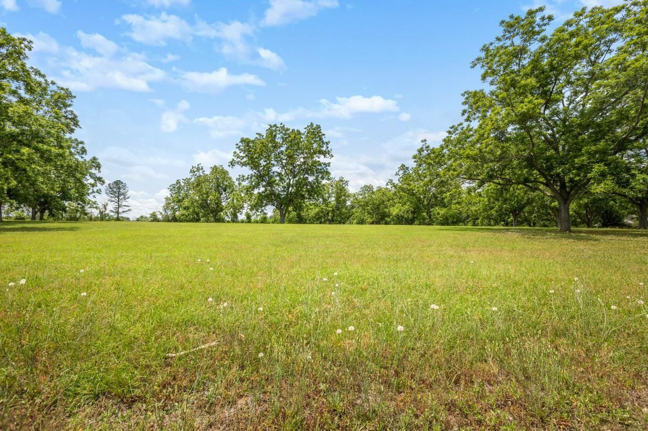 1590 Tyson Road, Monticello, FL 32344 Photo