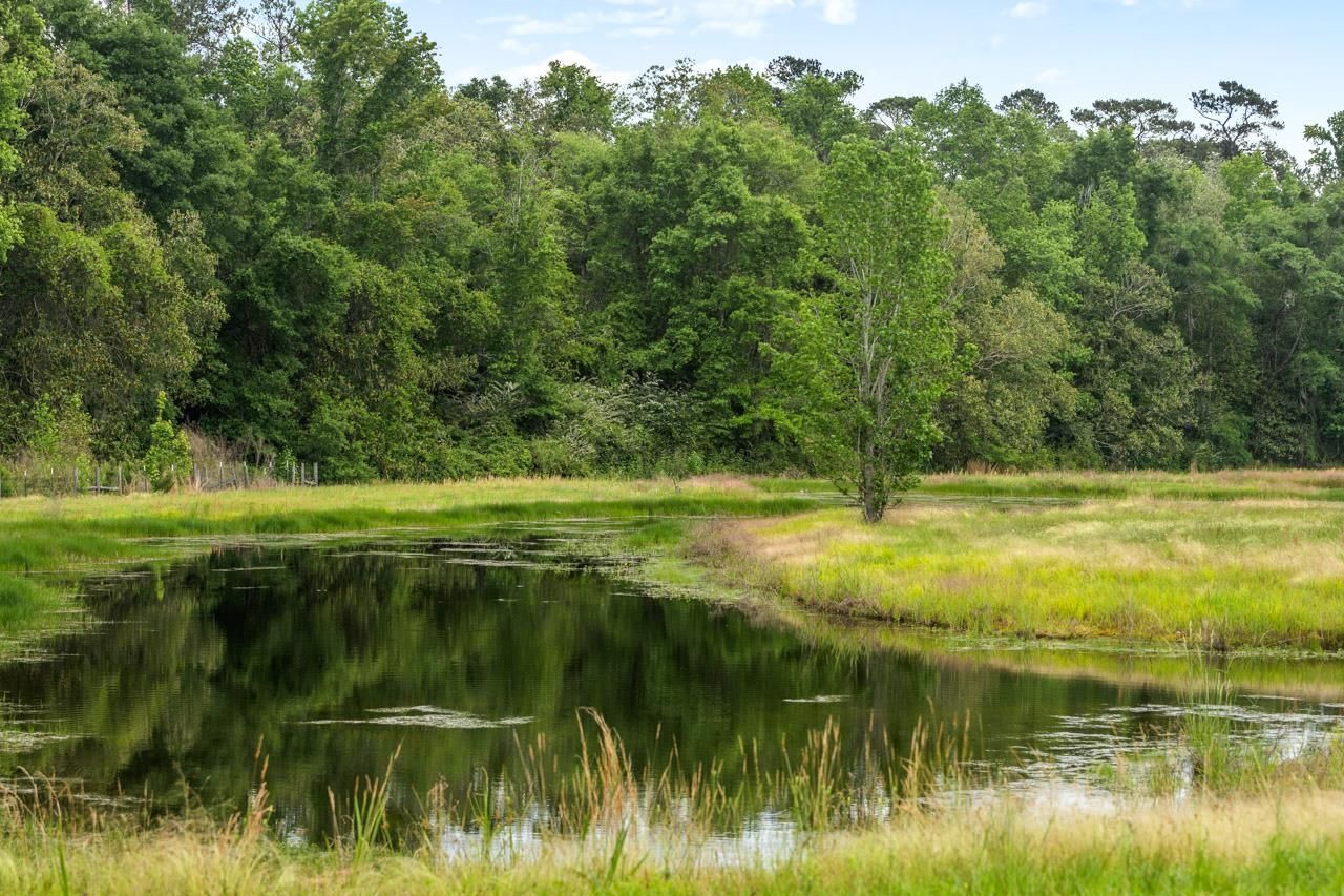 1590 Tyson Road, Monticello, FL 32344 Photo