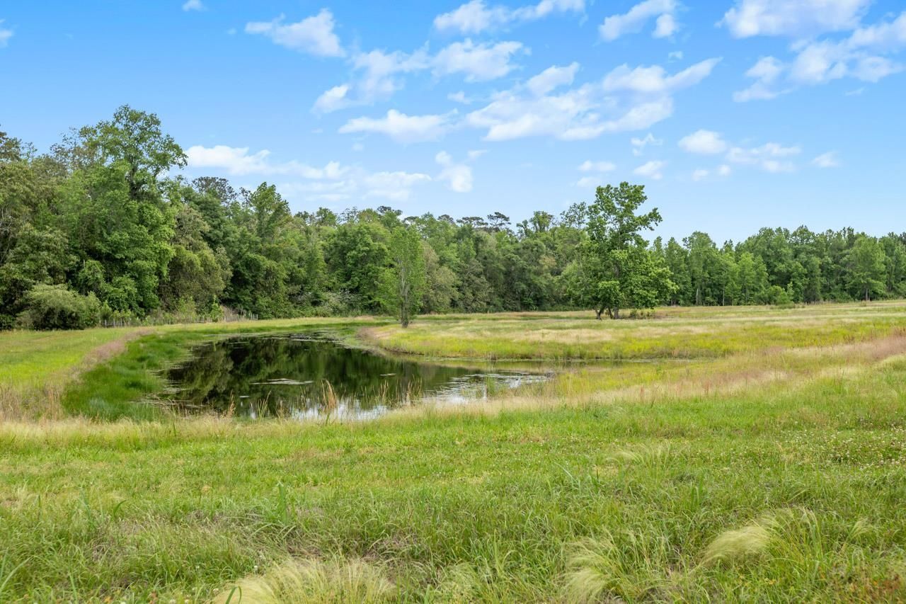 1590 Tyson Road, Monticello, FL 32344 Photo