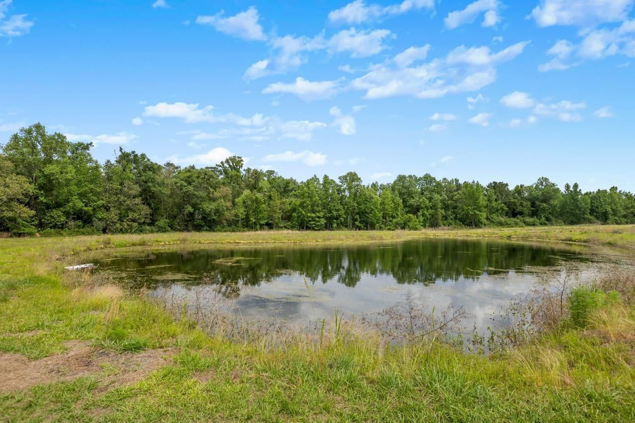 1590 Tyson Road, Monticello, FL 32344 Photo