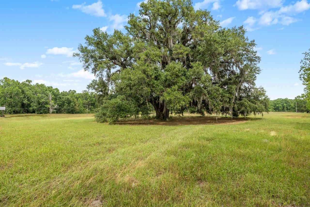 1590 Tyson Road, Monticello, FL 32344 Photo