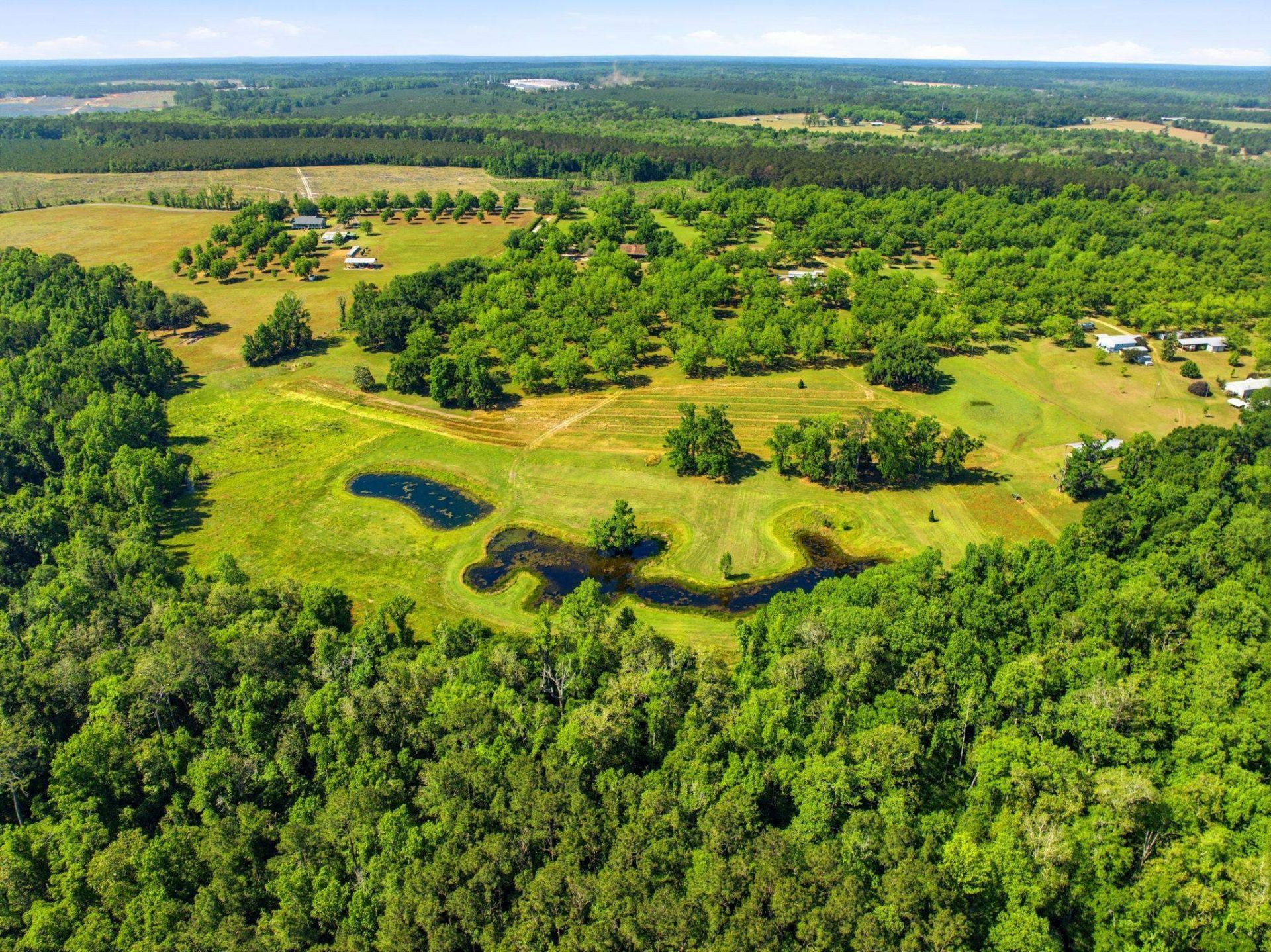 1590 Tyson Road, Monticello, FL 32344 Photo