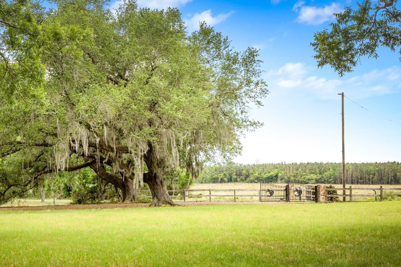 1590 Tyson Road, Monticello, FL 32344 Photo