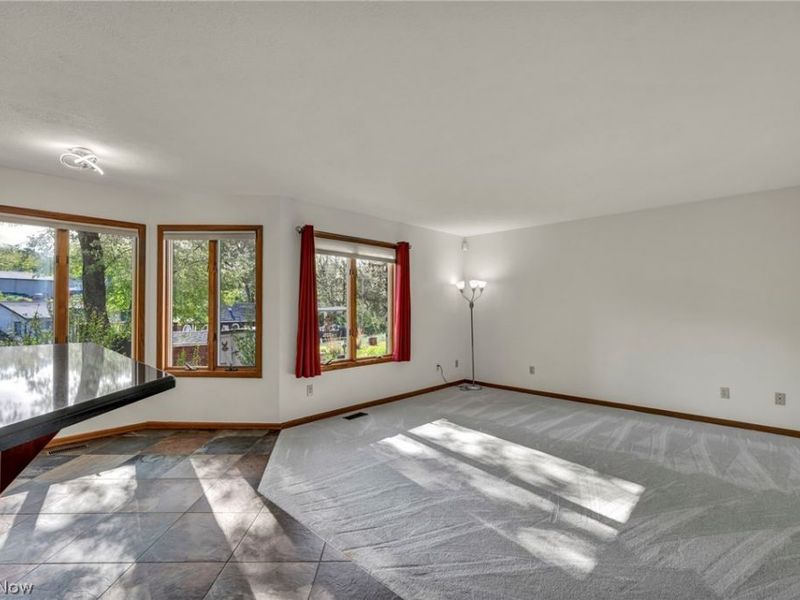 117 Wymore Avenue, Akron, OH 44319 Photo 16