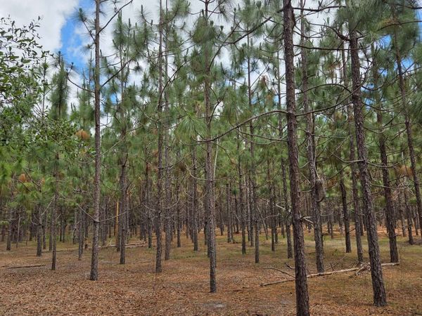 00 00 144TH STREET, Live Oak, FL 32060