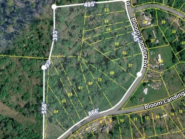 0 Bloom Landing Rd N, Charlotte, TN 37036