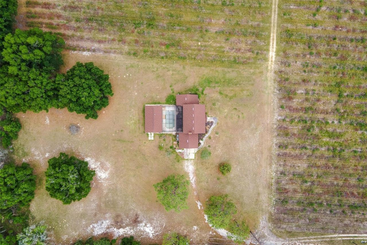 2500 Urick Street, Fruitland Park, FL 34731 Photo