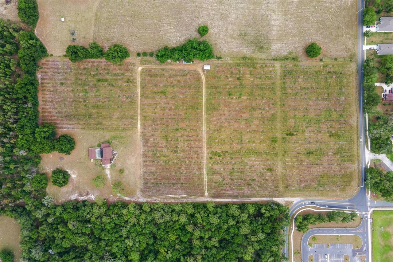 2500 Urick Street, Fruitland Park, FL 34731 Photo