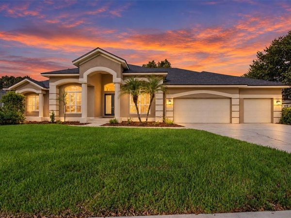 19108 CENTRE ROSE BOULEVARD, LUTZ, FL 33558