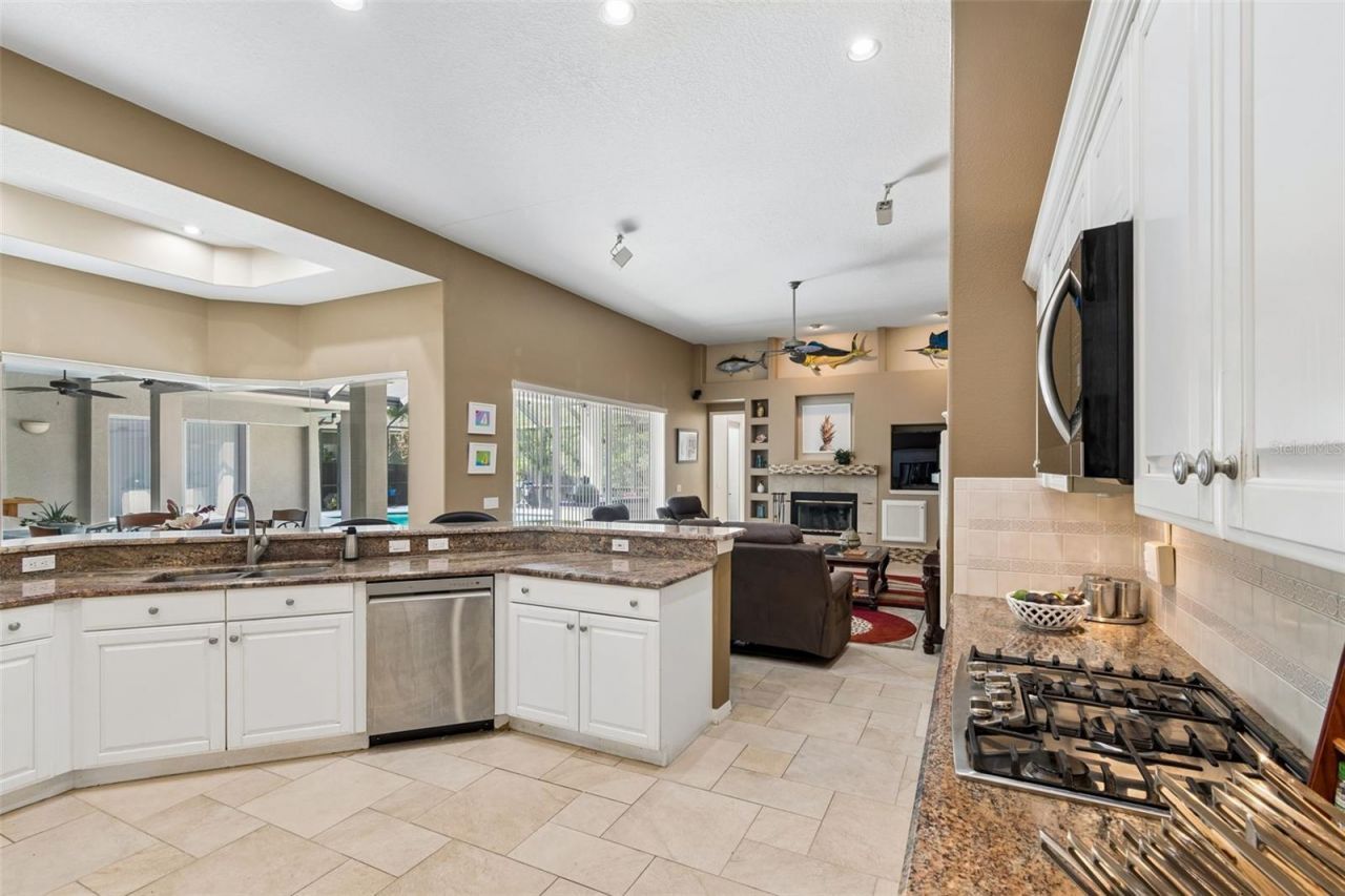 19108 Centre Rose Boulevard, Lutz, FL 33558 Photo