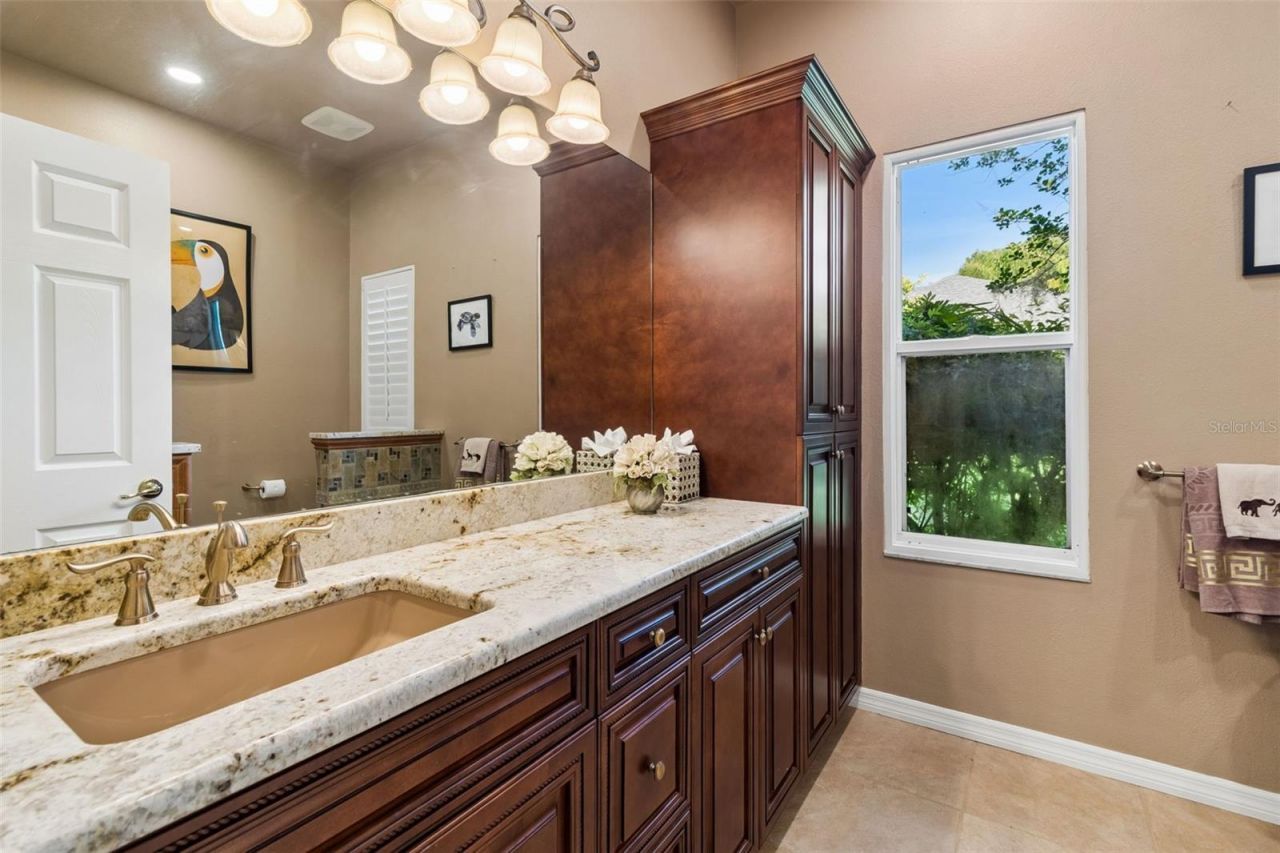 19108 Centre Rose Boulevard, Lutz, FL 33558 Photo