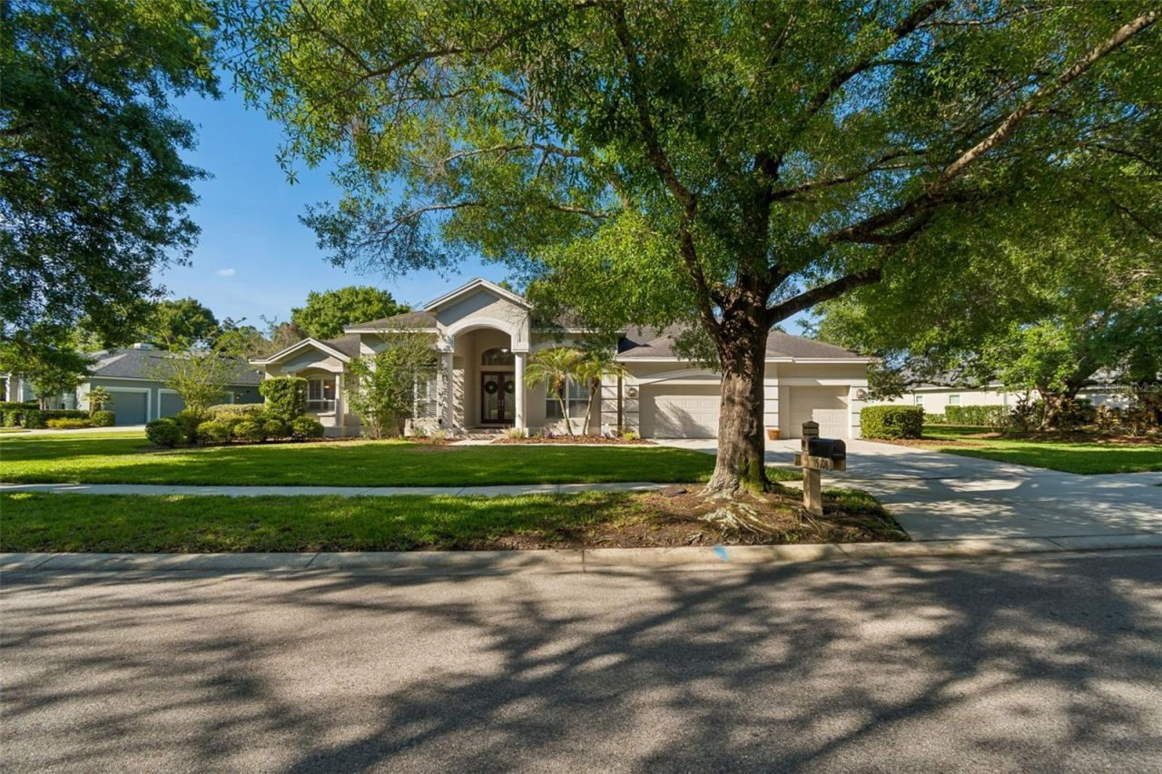 19108 Centre Rose Boulevard, Lutz, FL 33558 Photo